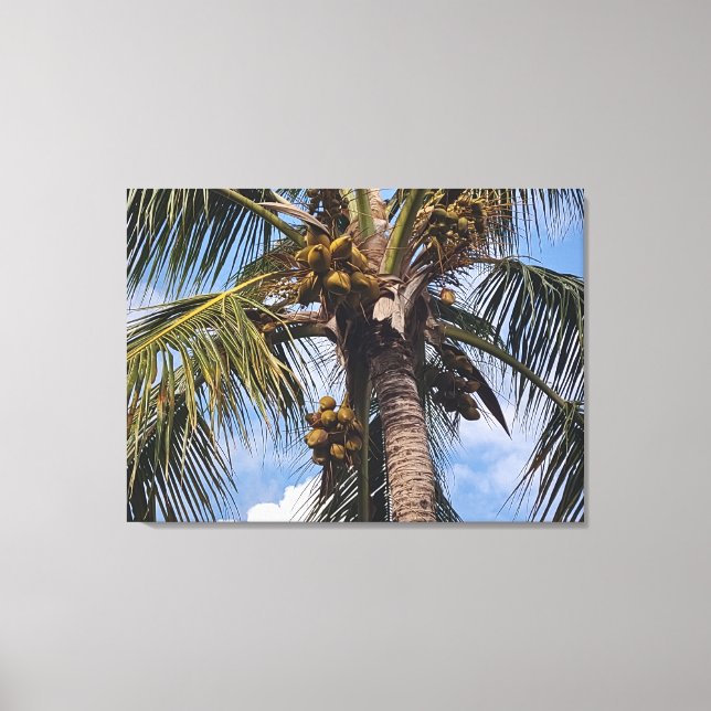 COCO PALM LEINWANDDRUCK (Vorderseite)