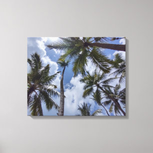 COCO PALMS #2 AUF LEINWAND 50,8 CM X 40,64 CM