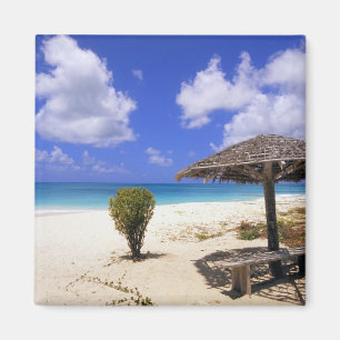 Coco Point Beach, Barbuda, Antigua Magnet