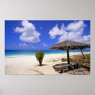 Coco Point Beach, Barbuda, Antigua Poster