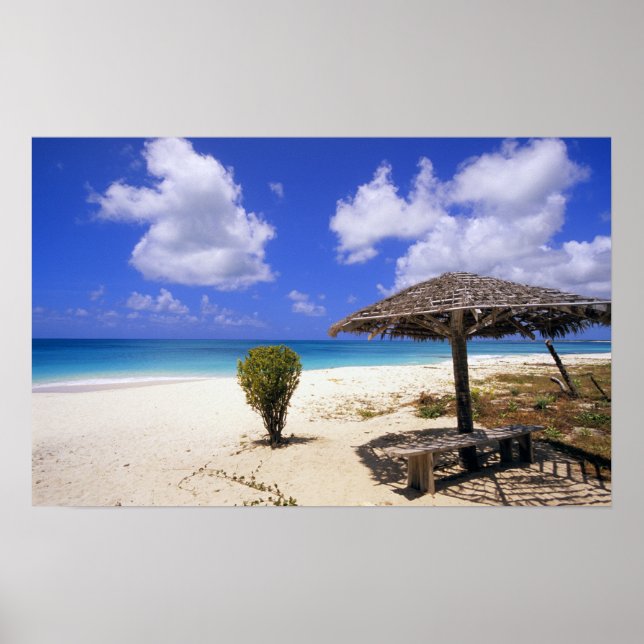 Coco Point Beach, Barbuda, Antigua Poster (Vorne)
