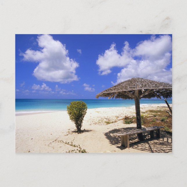 Coco Point Beach, Barbuda, Antigua Postkarte (Vorderseite)