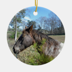 Coco und Creme: farbiges Pferd Keramik Ornament