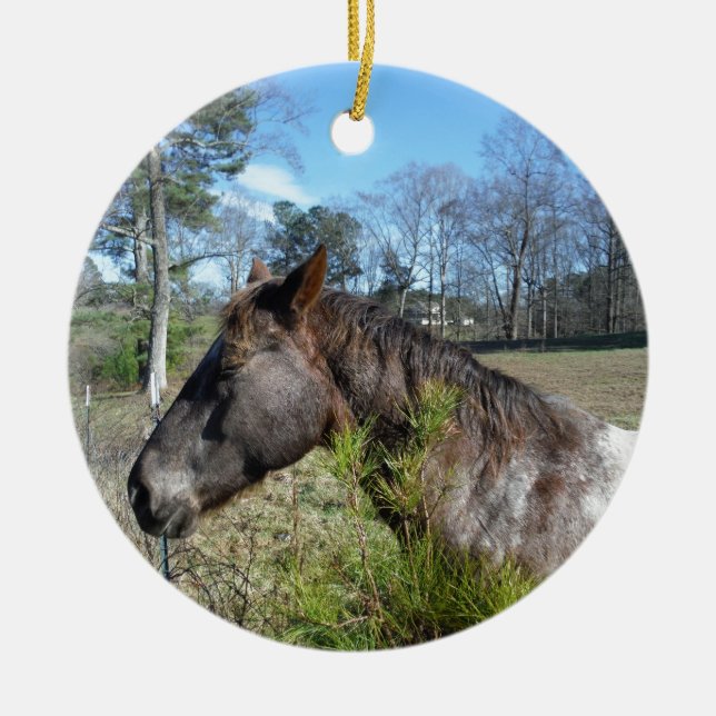 Coco und Creme: farbiges Pferd Keramik Ornament (Vorne)