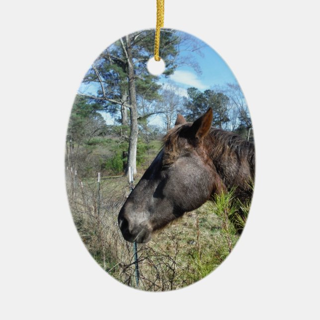 Coco und Creme: farbiges Pferd Keramik Ornament (Vorne)