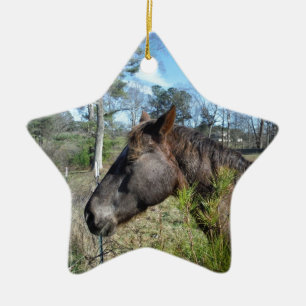 Coco und Creme: farbiges Pferd Keramikornament