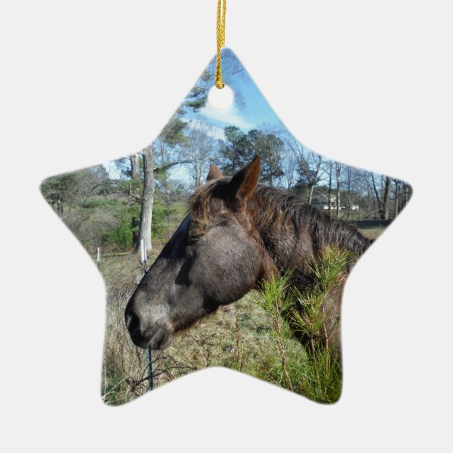 Coco und Creme: farbiges Pferd Keramikornament (Vorne)