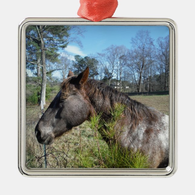 Coco und Creme: farbiges Pferd Silbernes Ornament (Vorne)