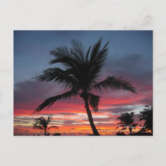 Coco von Guilian Buhl Postkarte (Vorderseite)