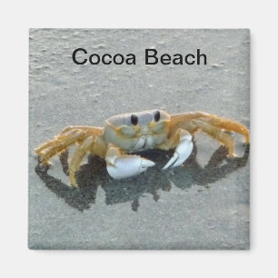 Cocoa Beach Crab Foto Magnet Florida