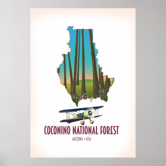 Coconino National Forest Arizona USA Karte Poster (Vorne)