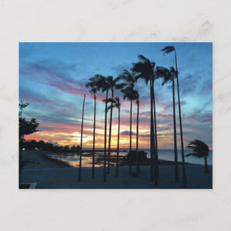 Coconut am Strand Postkarte