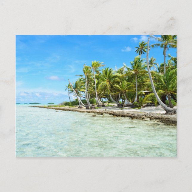Coconut Beach Postkarte (Vorderseite)