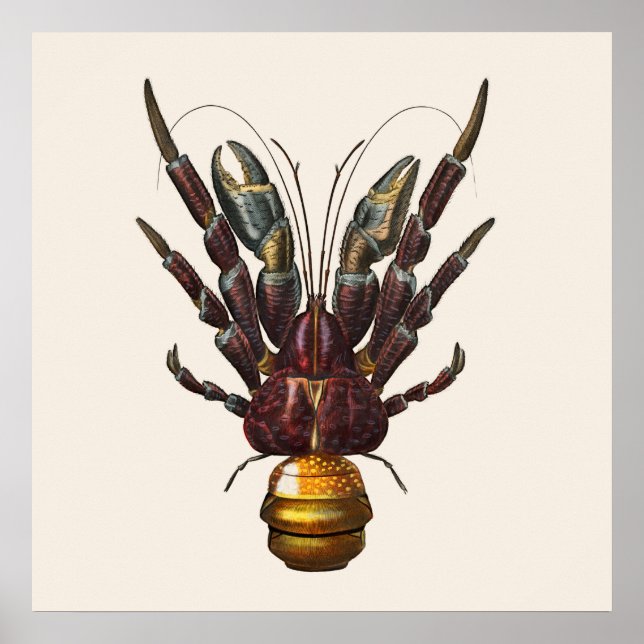 Coconut Crab Poster (Vorne)