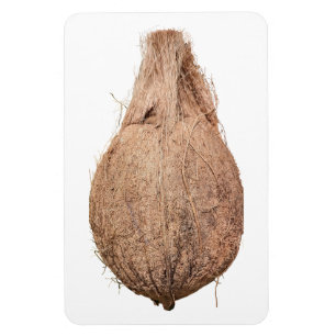 Coconut Foto Magnet