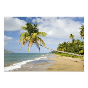 Coconut Grove Beach in Cades Bay, mit St. 2 Fotodruck