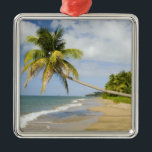 Coconut Grove Beach in Cades Bay, mit St. 2 Ornament Aus Metall<br><div class="desc">Coconut Grove Beach in Cades Bay mit St Kitts on horizon � Greg Johnston / DanitaDelimont.com</div>
