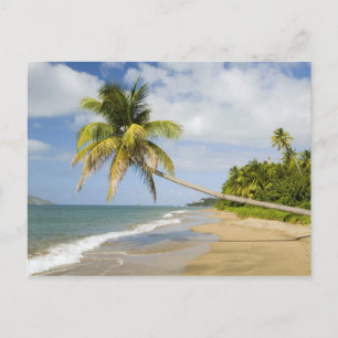 Coconut Grove Beach in Cades Bay, mit St. 2 Postkarte