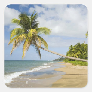 Coconut Grove Beach in Cades Bay, mit St. 2 Quadratischer Aufkleber