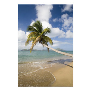 Coconut Grove Beach in Cades Bay, mit St. Fotodruck