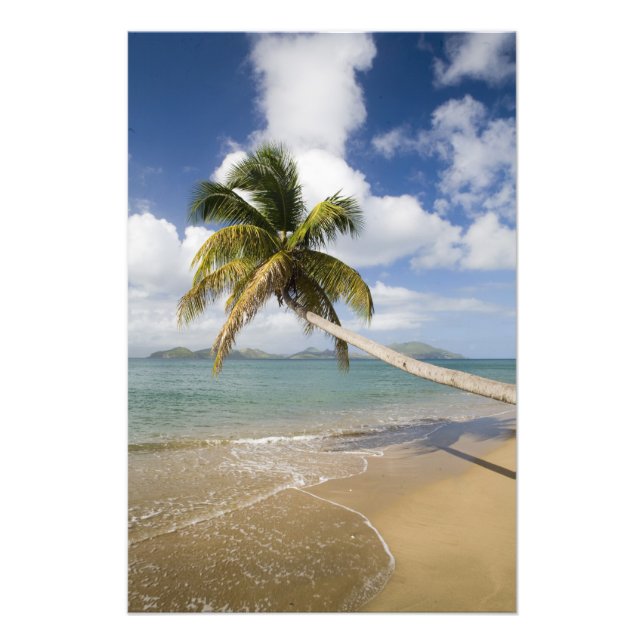 Coconut Grove Beach in Cades Bay, mit St. Fotodruck (Vorne)