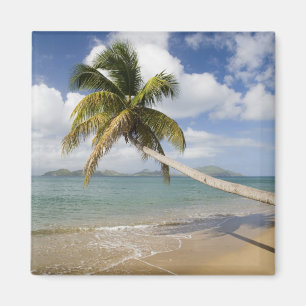 Coconut Grove Beach in Cades Bay, mit St. Magnet