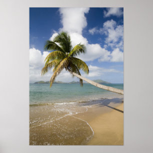 Coconut Grove Beach in Cades Bay, mit St. Poster