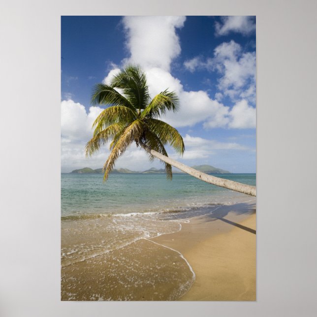 Coconut Grove Beach in Cades Bay, mit St. Poster (Vorne)