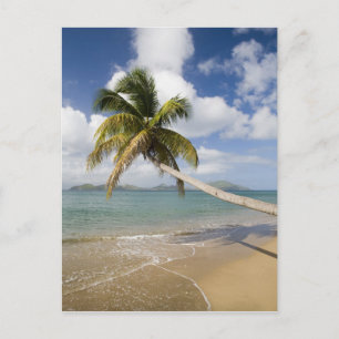 Coconut Grove Beach in Cades Bay, mit St. Postkarte
