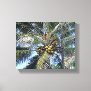 Coconut Palm 8x10" Canvas Print Leinwanddruck