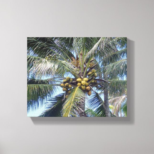 Coconut Palm 8x10" Canvas Print Leinwanddruck (Vorderseite)