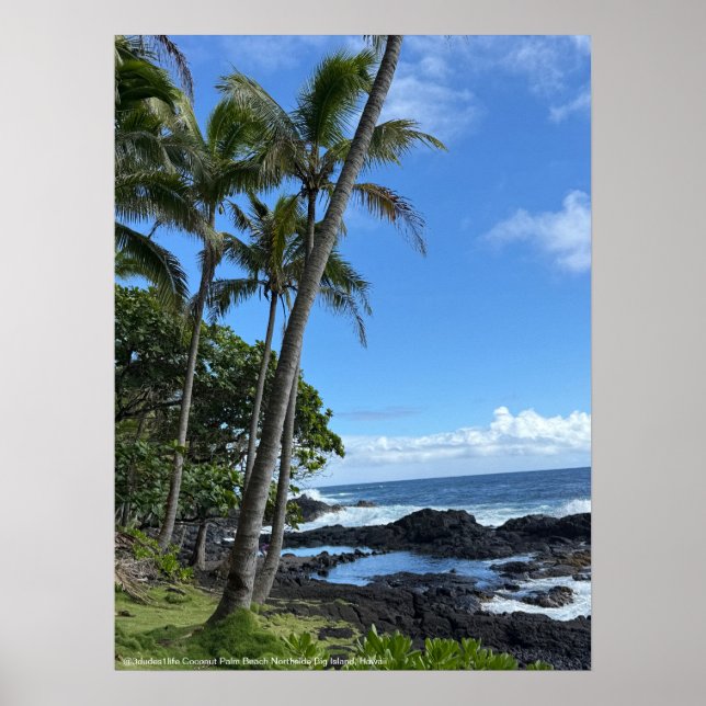 Coconut Palm Beach Hawaii Poster @3Typs1life (Vorne)