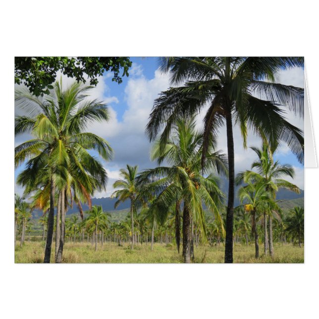 Coconut Palm Forest (Vorderseite (Horizontal))