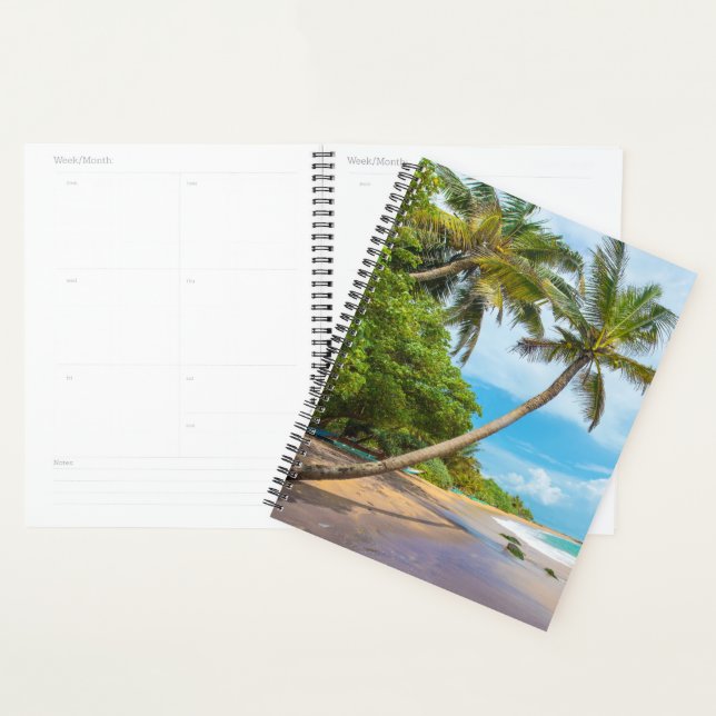 Coconut Palm, Mirissa Beach | Sri Lanka Planer (Anzeige)