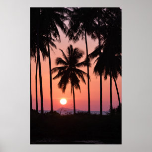 Coconut Palm Tree Landscape Poster