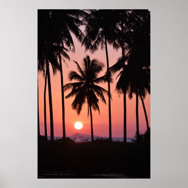 Coconut Palm Tree Landschaft Poster (Vorne)