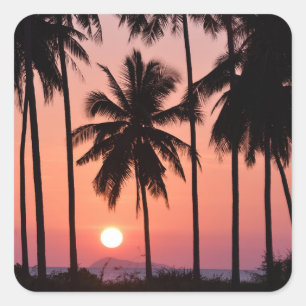 Coconut Palm Tree Landschaft Quadratischer Aufkleber