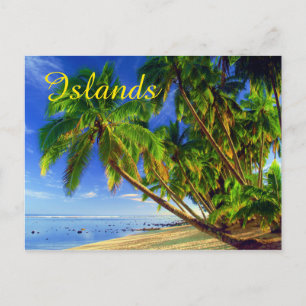 Coconut Palm Tree Sandy Tropical Island Beach Postkarte