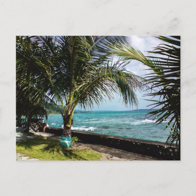 Coconut Tree Rocky Coast Pacific Beach Waves Postkarte (Vorderseite)