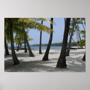 Coconut Trees at Place of Refuge, Hawaii - Print Poster