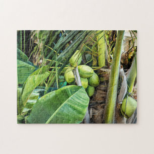 Coconut Trees Tropical Jungfrau Islands Karibik Puzzle