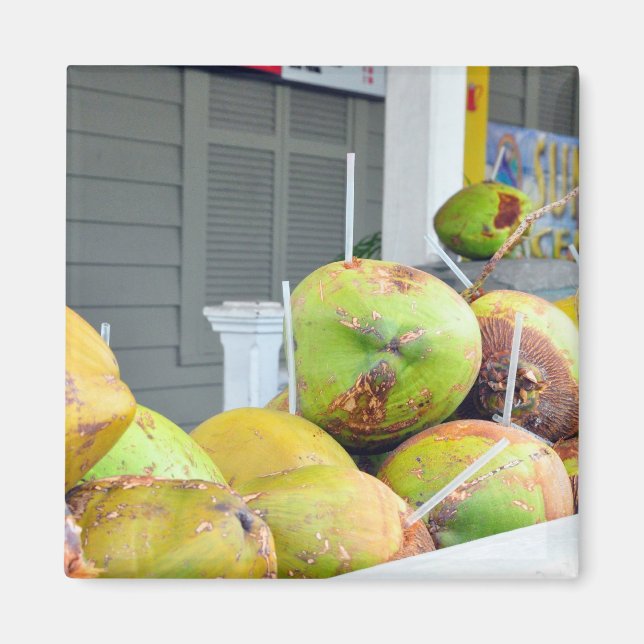 Coconut Water Key West FL Coconuts Magnet (Vorne)