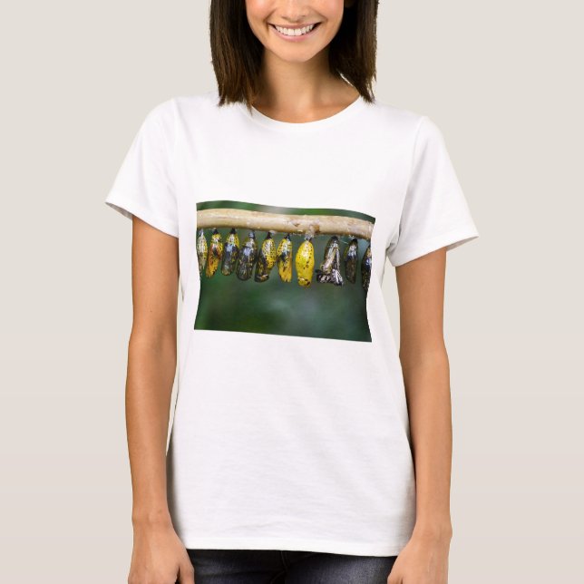 Cocoon Life T-Shirt (Vorderseite)