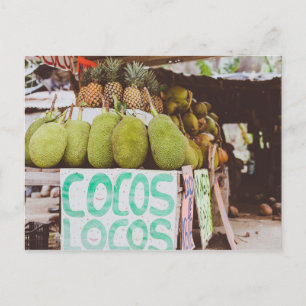 Cocos Locos Postkarte