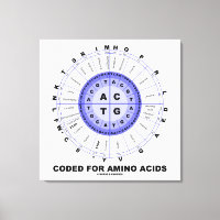 Coded For Amino Acids (Genetic Code DNA)