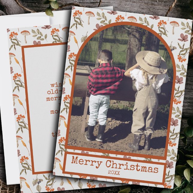 Codescore Pilz Botanische Bilder Weihnachten (Von Creator hochgeladen)