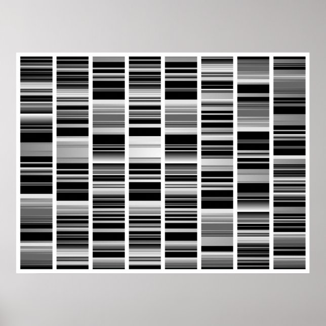 Codex Poster (Vorne)