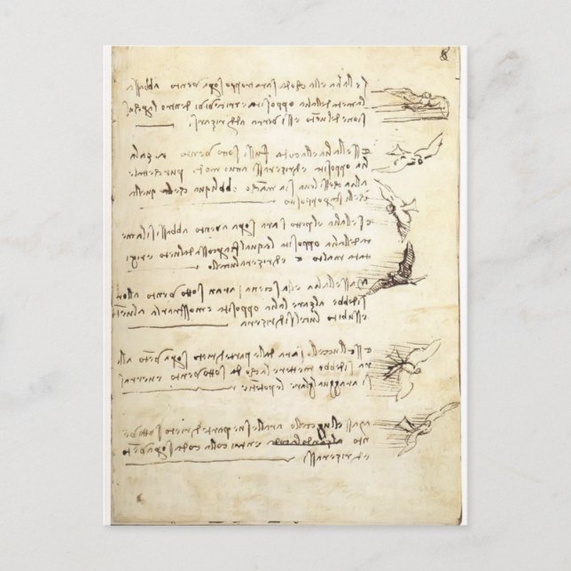 Codex über den Vogelflug von Leonardo da Vinci Postkarte (Vorderseite)