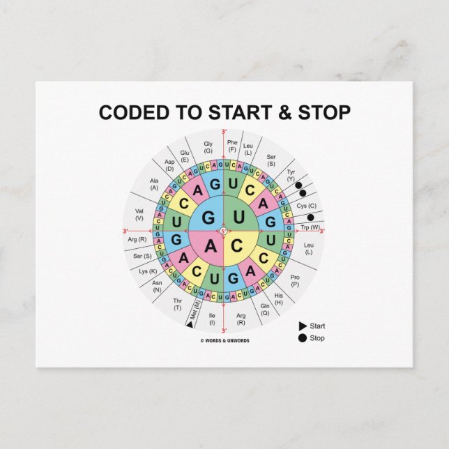Codiert für Start und Stopp (Codon Wheel) Postkarte (Vorderseite)