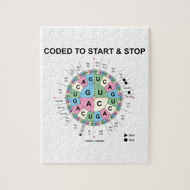 Codiert für Start und Stopp (Codon Wheel) Puzzle (Vertikal)